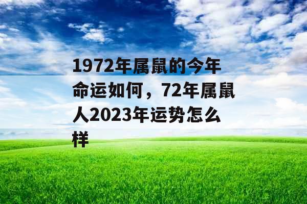 1972年属鼠的今年命运如何，72年属鼠人2023年运势怎么样