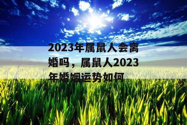 2023年属鼠人会离婚吗，属鼠人2023年婚姻运势如何