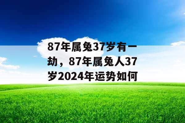 87年属兔37岁有一劫，87年属兔人37岁2024年运势如何