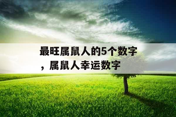 最旺属鼠人的5个数字,属鼠人幸运数字 最旺属鼠人的5个数字,属鼠人幸运数字