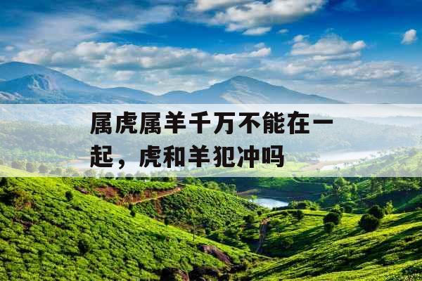 属虎属羊千万不能在一起，虎和羊犯冲吗