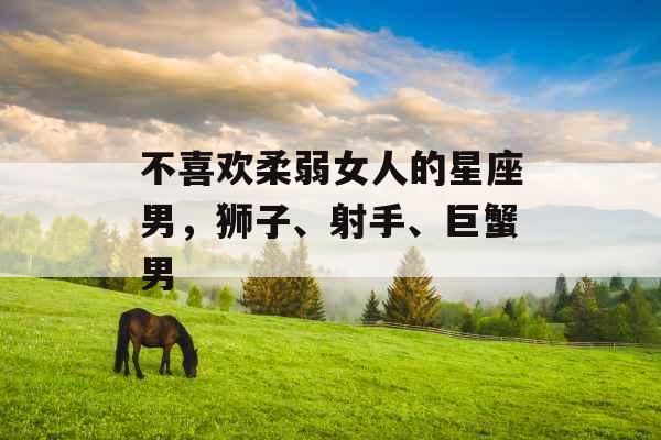 不喜欢柔弱女人的星座男,狮子、射手、巨蟹男 不喜欢柔弱女人的星座男,狮子、射手、巨蟹男