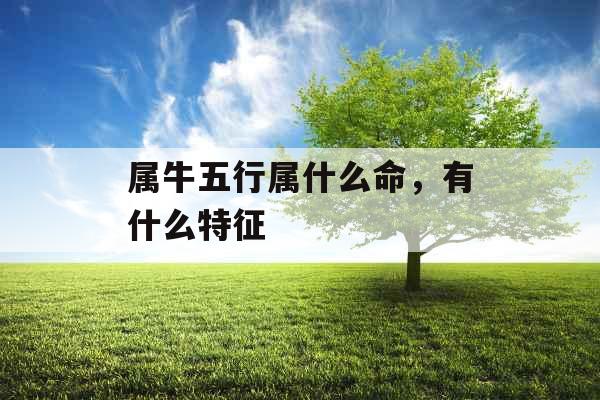 属牛五行属什么命，有什么特征