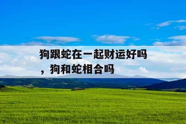 狗跟蛇在一起财运好吗,狗和蛇相合吗 狗跟蛇在一起财运好吗,狗和蛇相合吗