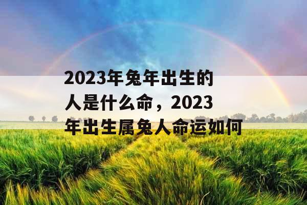 2023年兔年出生的人是什么命,2023年出生属兔人命运如何 2023年兔年出生的人是什么命,2023年出生属兔人命运如何