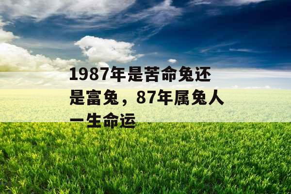 1987年是苦命兔还是富兔,87年属兔人一生命运 1987年是苦命兔还是富兔,87年属兔人一生命运