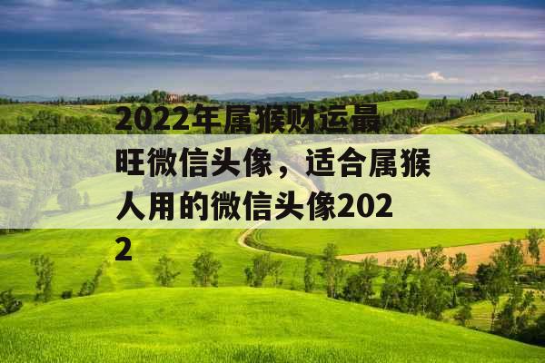 2022年属猴财运最旺微信头像，适合属猴人用的微信头像2022