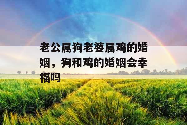 老公属狗老婆属鸡的婚姻，狗和鸡的婚姻会幸福吗