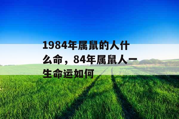 1984年属鼠的人什么命，84年属鼠人一生命运如何