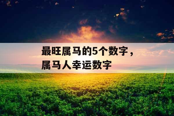 最旺属马的5个数字，属马人幸运数字