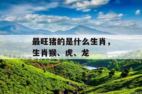 最旺猪的是什么生肖，生肖猴、虎、龙