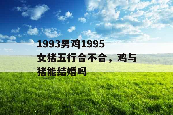 1993男鸡1995女猪五行合不合，鸡与猪能结婚吗