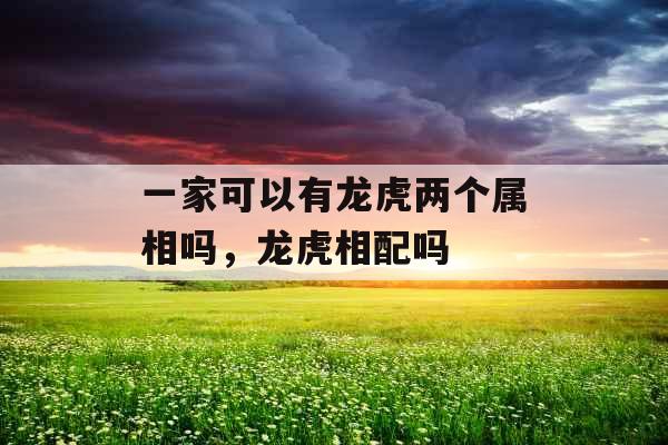 一家可以有龙虎两个属相吗，龙虎相配吗