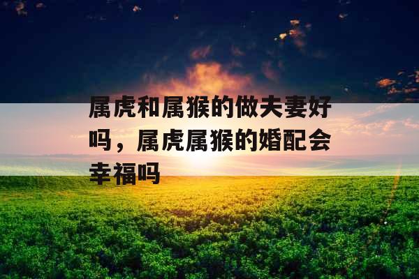 属虎和属猴的做夫妻好吗,属虎属猴的婚配会幸福吗 属虎和属猴的做夫妻好吗,属虎属猴的婚配会幸福吗