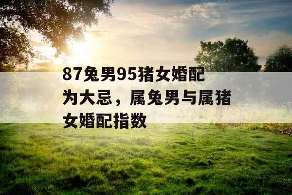 87兔男95猪女婚配为大忌，属兔男与属猪女婚配指数