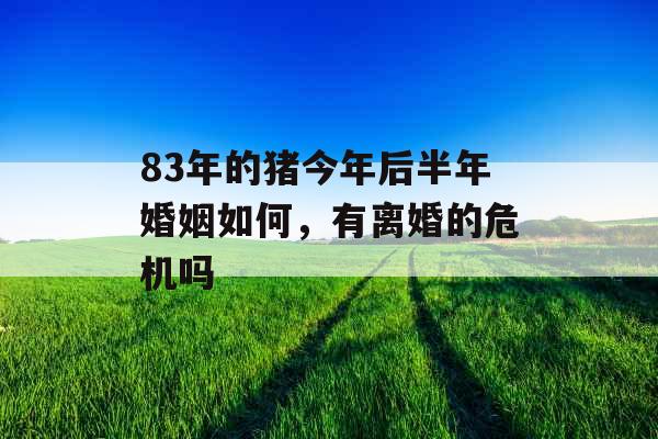 83年的猪今年后半年婚姻如何，有离婚的危机吗