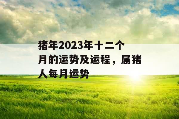 猪年2023年十二个月的运势及运程,属猪人每月运势 猪年2023年十二个月的运势及运程,属猪人每月运势