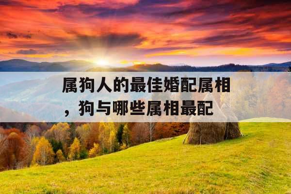 属狗人的最佳婚配属相，狗与哪些属相最配