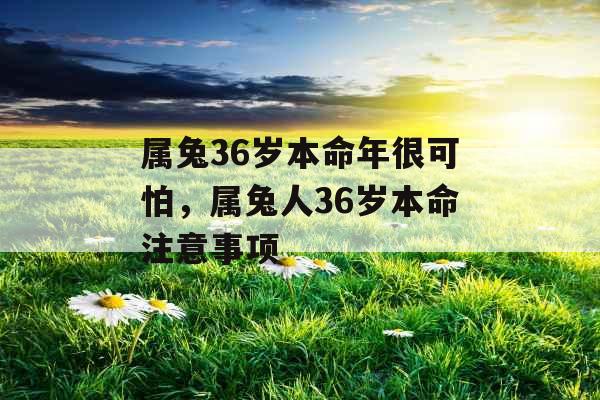 属兔36岁本命年很可怕，属兔人36岁本命注意事项