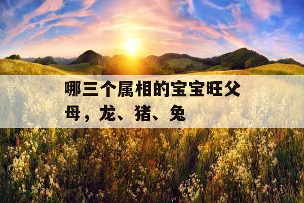 哪三个属相的宝宝旺父母，龙、猪、兔