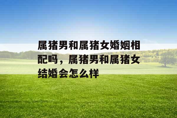 属猪男和属猪女婚姻相配吗，属猪男和属猪女结婚会怎么样