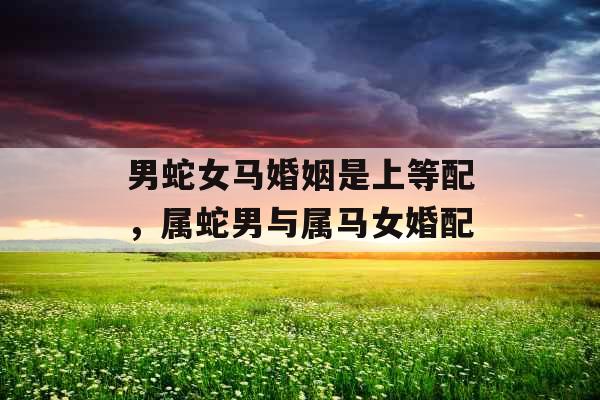 男蛇女马婚姻是上等配，属蛇男与属马女婚配