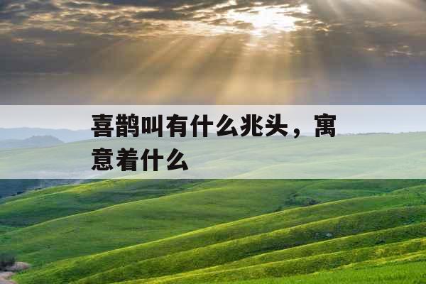 喜鹊叫有什么兆头，寓意着什么