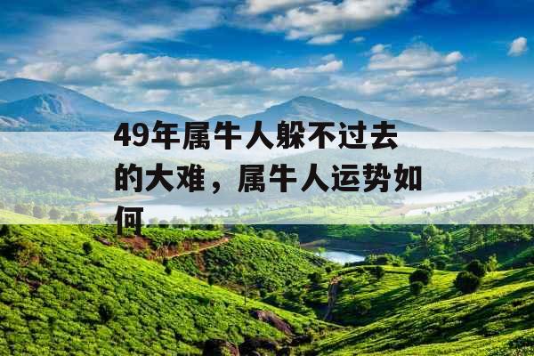 49年属牛人躲不过去的大难，属牛人运势如何