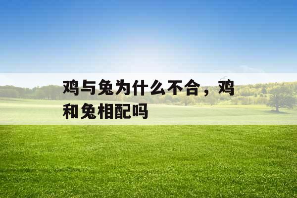 鸡与兔为什么不合，鸡和兔相配吗