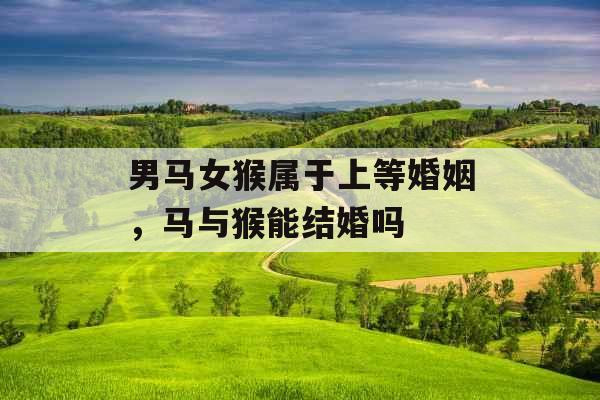 男马女猴属于上等婚姻，马与猴能结婚吗