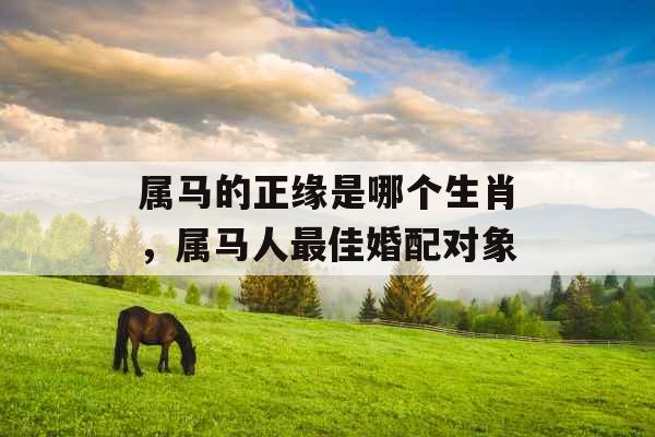 属马的正缘是哪个生肖，属马人最佳婚配对象