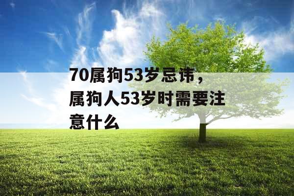 70属狗53岁忌讳，属狗人53岁时需要注意什么