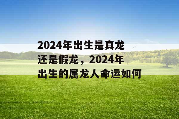 2024年出生是真龙还是假龙，2024年出生的属龙人命运如何