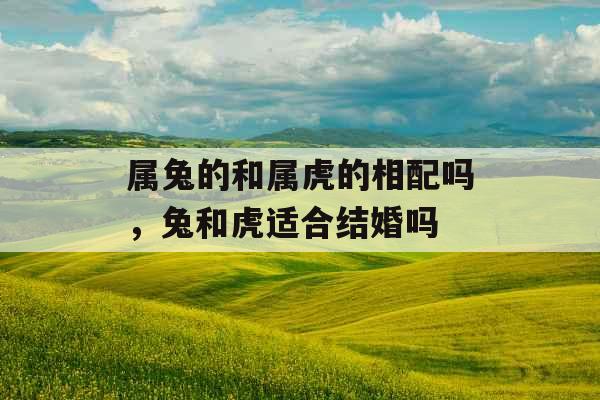 属兔的和属虎的相配吗，兔和虎适合结婚吗
