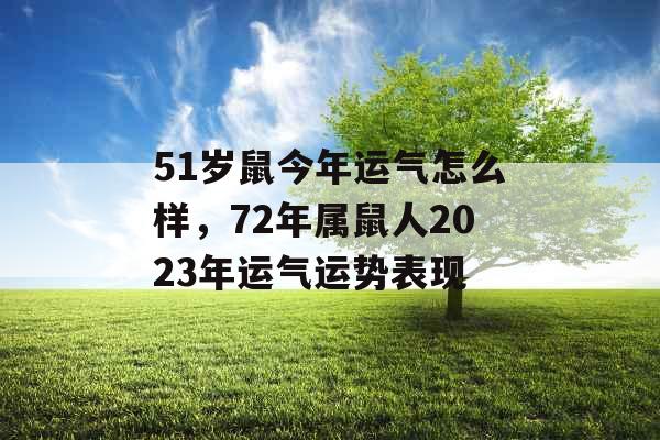 51岁鼠今年运气怎么样，72年属鼠人2023年运气运势表现