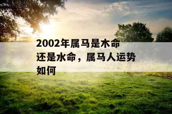 2002年属马是木命还是水命，属马人运势如何