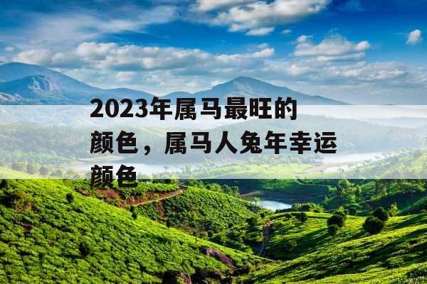 2023年属马最旺的颜色，属马人兔年幸运颜色