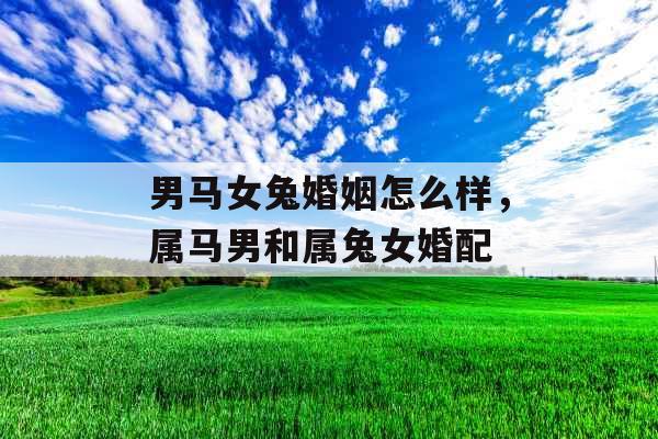 男马女兔婚姻怎么样，属马男和属兔女婚配