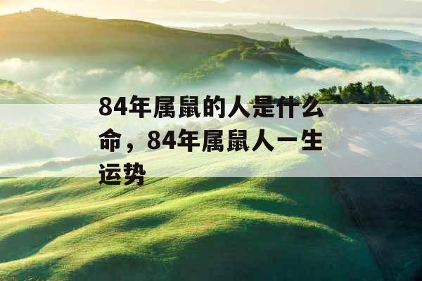 84年属鼠的人是什么命，84年属鼠人一生运势