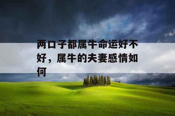 两口子都属牛命运好不好，属牛的夫妻感情如何