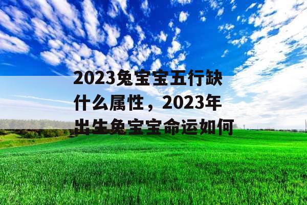 2023兔宝宝五行缺什么属性，2023年出生兔宝宝命运如何