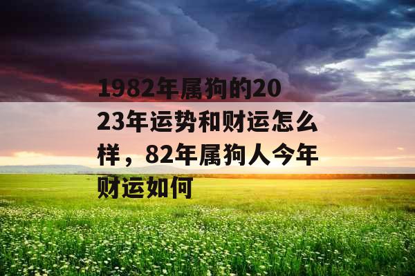 1982年属狗的2023年运势和财运怎么样，82年属狗人今年财运如何