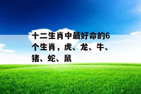 十二生肖中最好命的6个生肖，虎、龙、牛、猪、蛇、鼠
