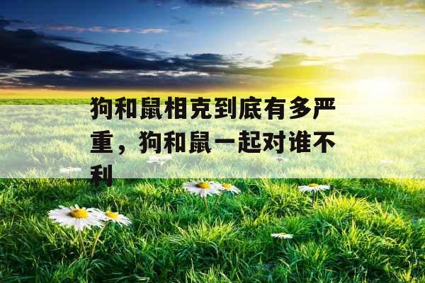 狗和鼠相克到底有多严重，狗和鼠一起对谁不利