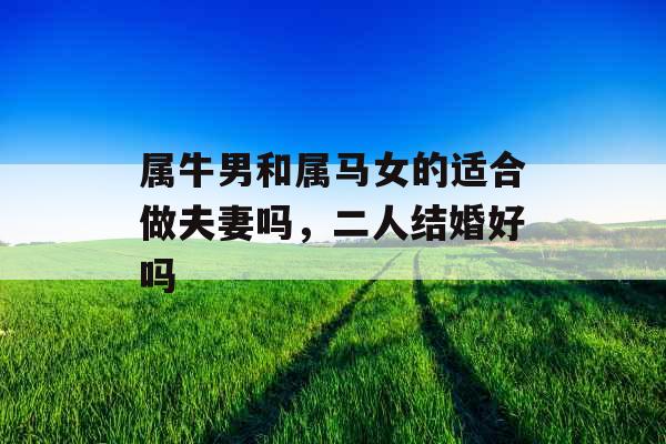属牛男和属马女的适合做夫妻吗，二人结婚好吗