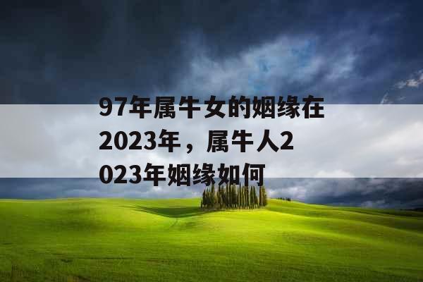 97年属牛女的姻缘在2023年，属牛人2023年姻缘如何