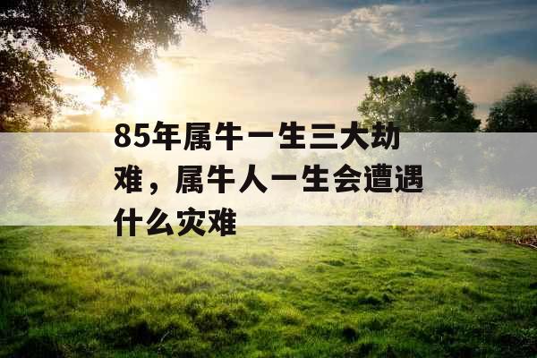 85年属牛一生三大劫难，属牛人一生会遭遇什么灾难