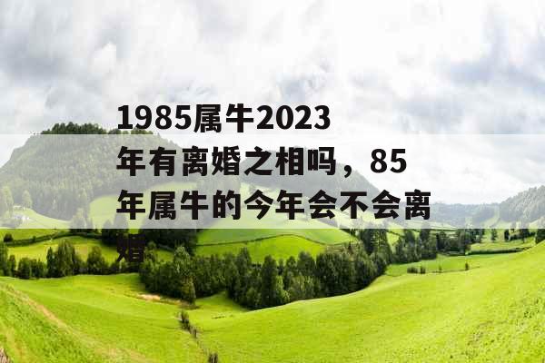 1985属牛2023年有离婚之相吗，85年属牛的今年会不会离婚
