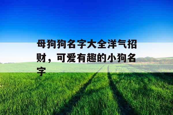母狗狗名字大全洋气招财，可爱有趣的小狗名字