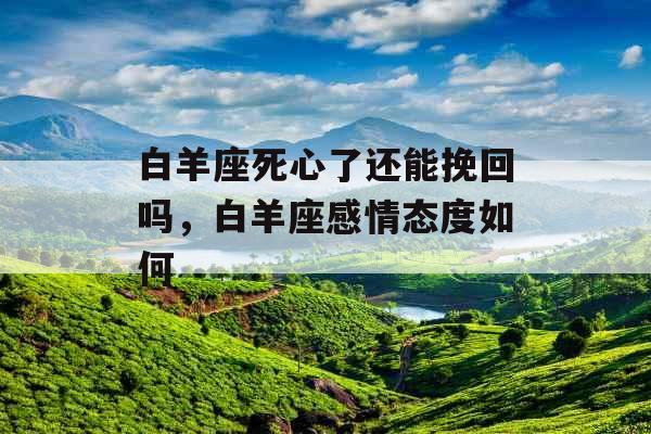白羊座死心了还能挽回吗，白羊座感情态度如何